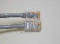 CABLE DATA CAT 5