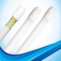 LED TL 8WATT TH-CW800
